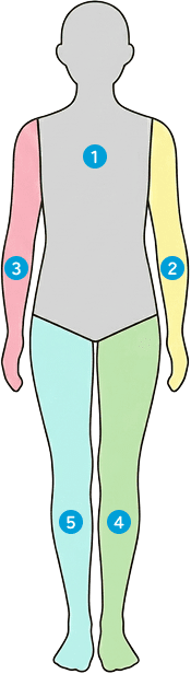 人体